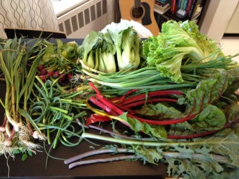 This is what our weekly share looks like. 